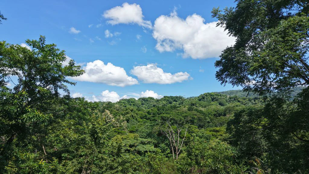 Lote Vista Montaña: Elevated Lot with Mountain and Jungle Views in Buena Vista, Just Minutes from Samara Beach - Gallery image 6