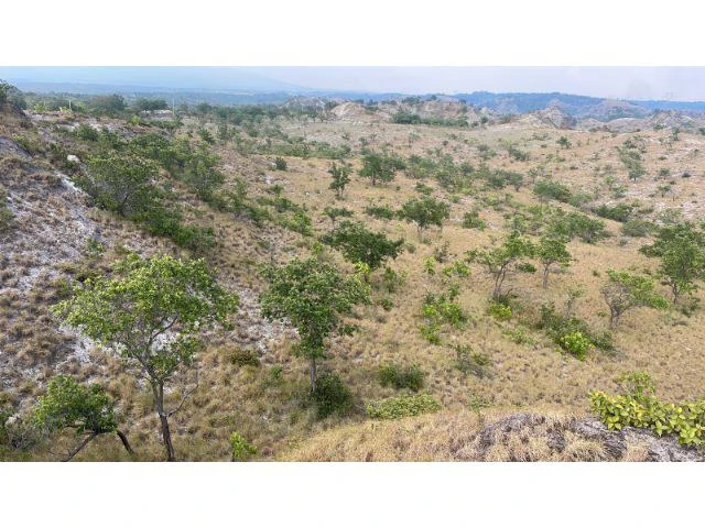 Zoning for homes, apartments, and warehouses in the mountains of Liberia, Beautiful 9.7 ha land with building permits - Gallery image 21