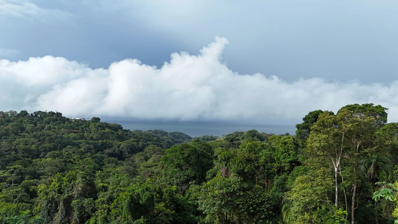 Exceptional Ocean & Mountain View Property in Pinuela Arriba, Costa Rica - Gallery image 5