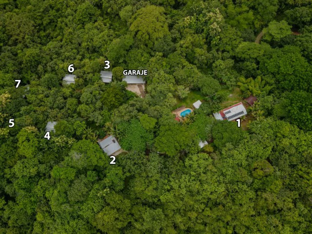 Nosara's Brand New Top Villas as a Business Opportunity in the dense forest of catchment area, 7 villas for sale in Costa Rica's Healthy Blue Zone - Gallery image 30