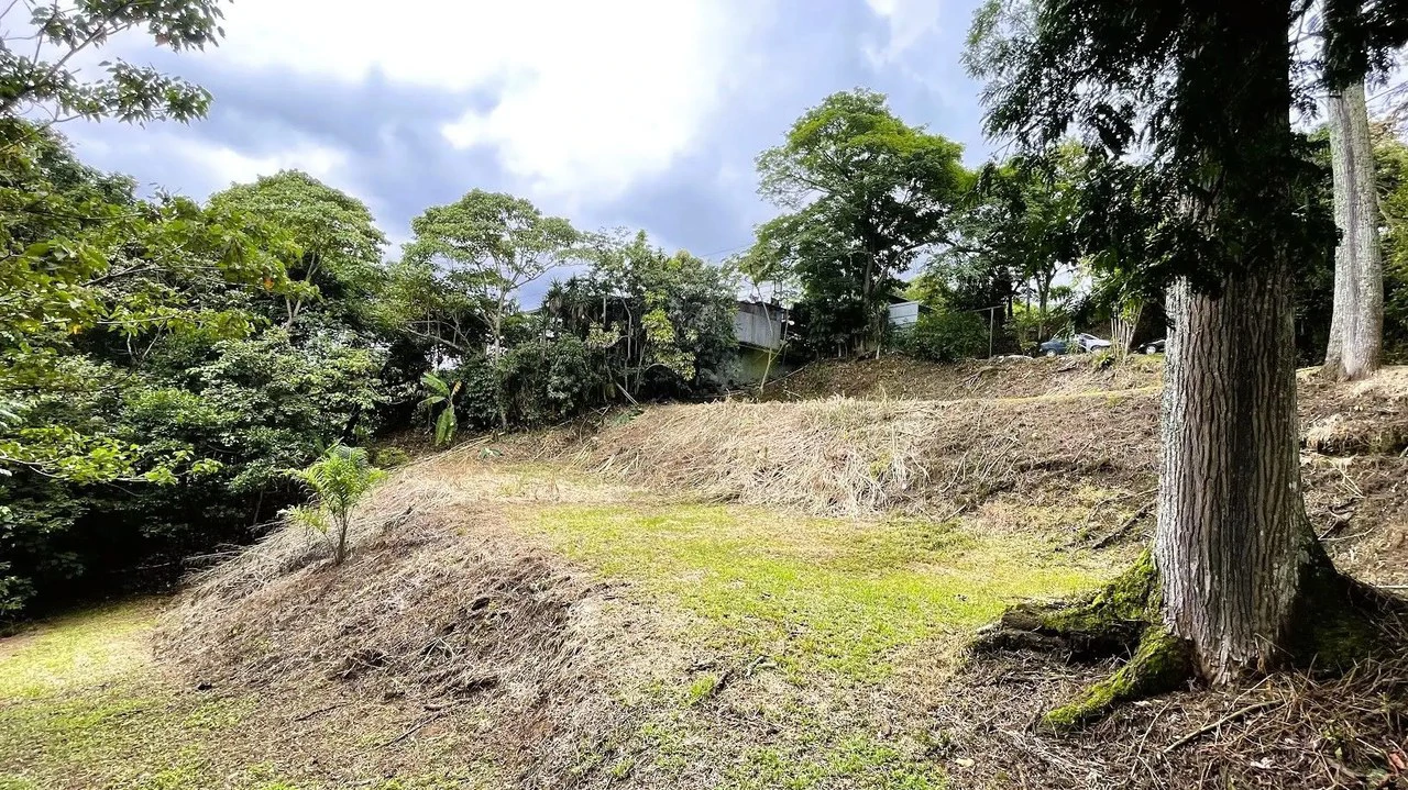 LAND FOR SALE IN SAN MIGUEL, NARANJO - Gallery image 11