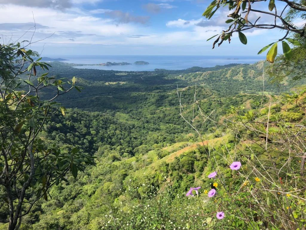 Ocean View Property with Panoramic Views on the Pacific Gold Coast – Guanacaste - Gallery image 2