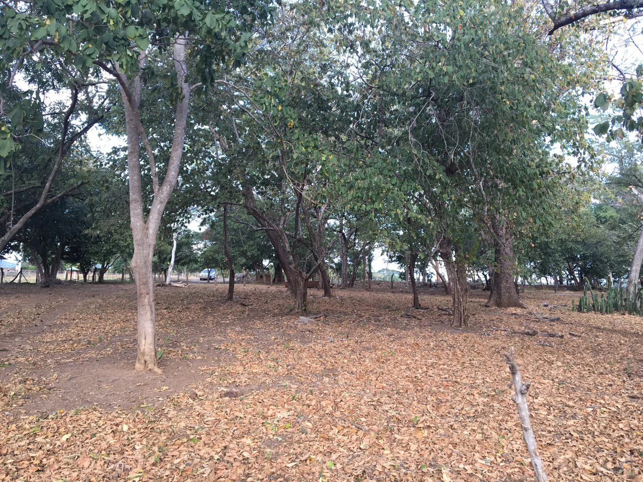 Propiedad cerca del Aeropuerto de Liberia : Countryside Development Parcel For Sale in Guardia - Gallery image 15