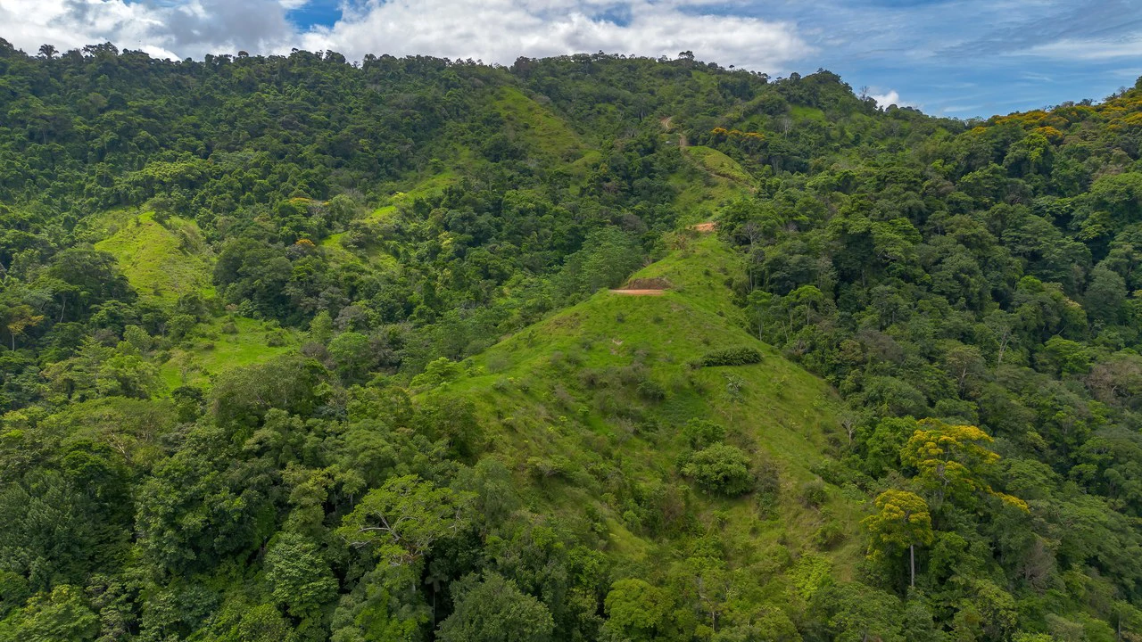 60+ Hectares in Platanillo | Own Your Own Mountain in Costa Rica - Gallery image 38