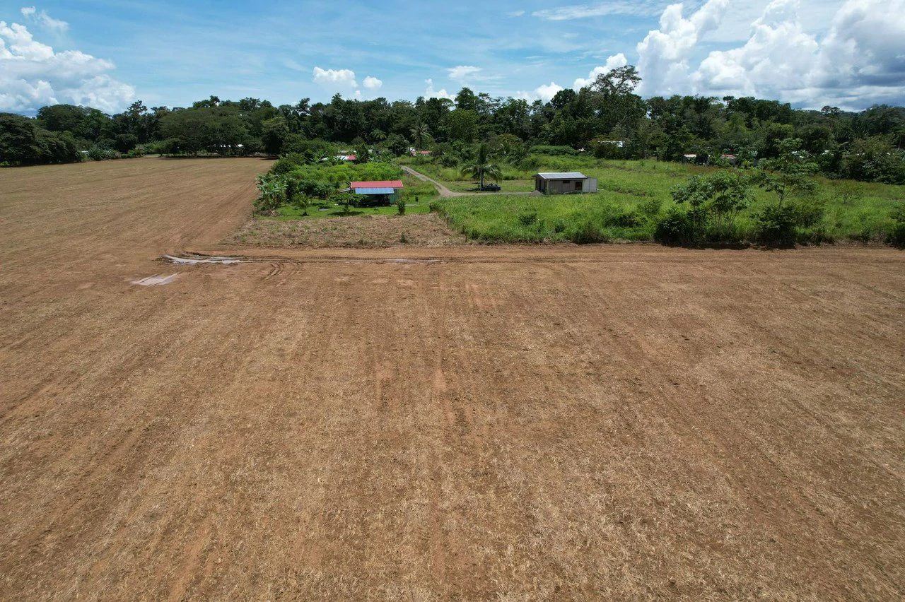 Finca La Palma, Puerto Jimenez: Excellent location ideal for development - Gallery image 4