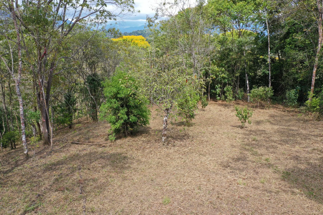Elevated Two and a Half Acres with Cool Breeze in San Isidro del General - Gallery image 7
