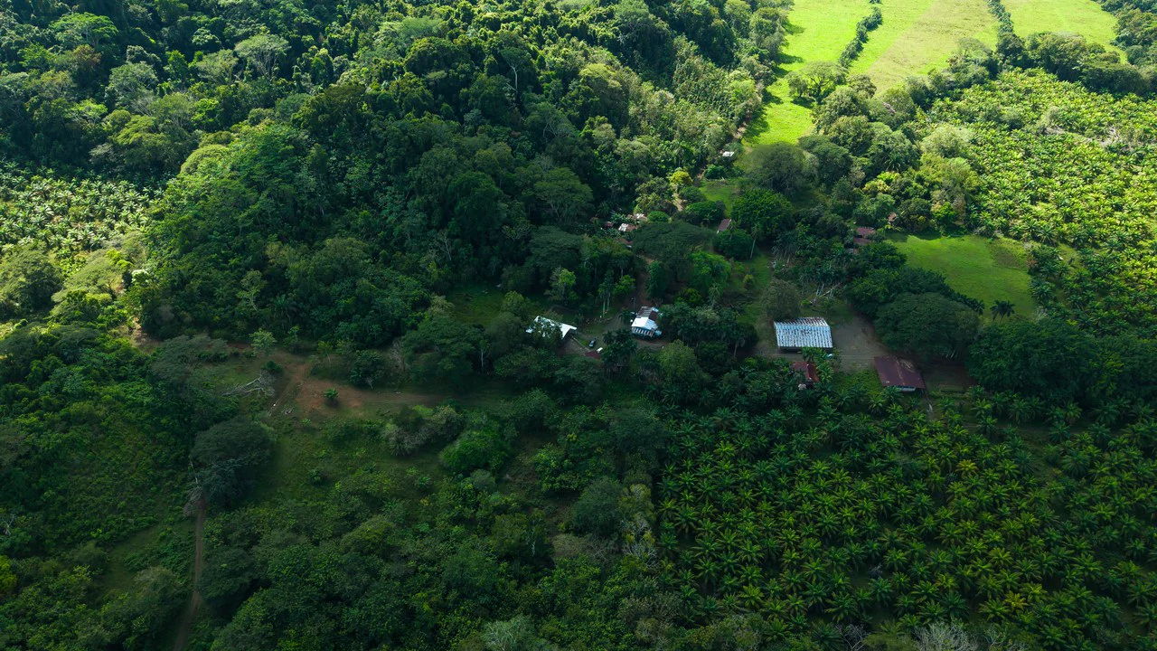 4,850 Acre Beachfront Legacy Ranch Esterillos Central Pacific Coast - Gallery image 8