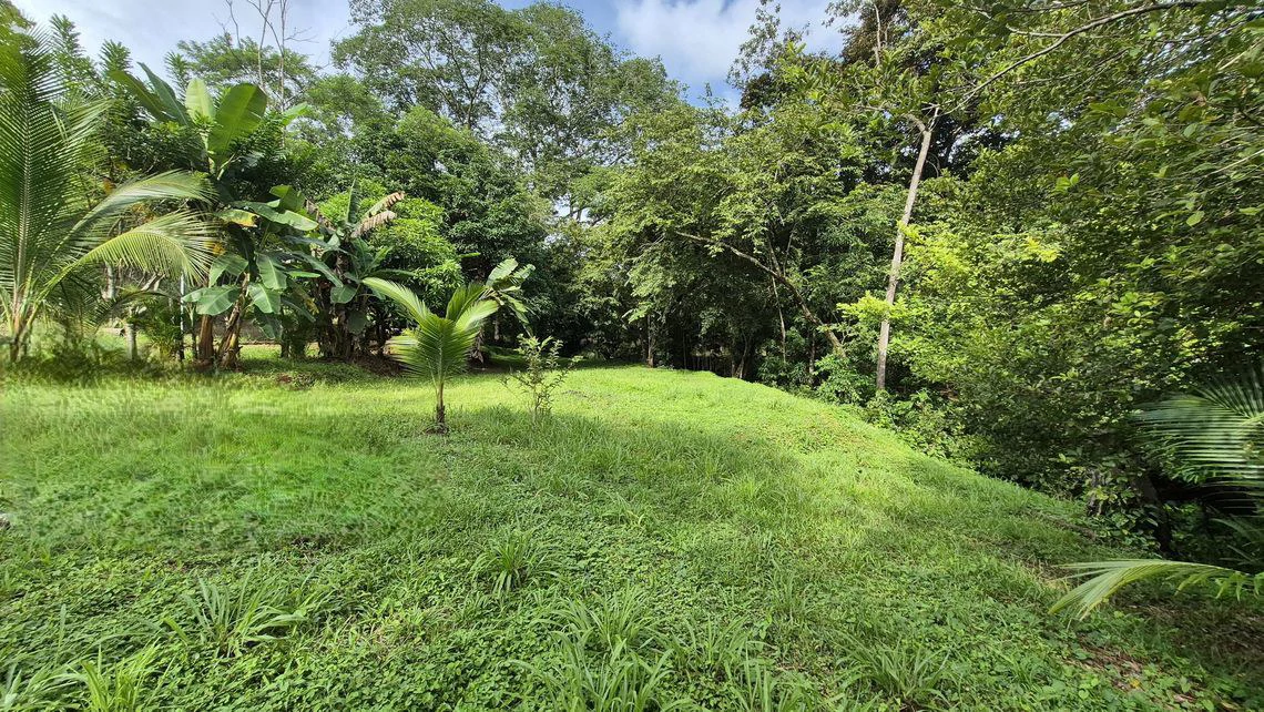 LOTE SERENIDAD: Beautiful 3,554 m² (0.89 Acre) Lot in Peaceful Estrada, Just 10 Minutes from Carillo Beach - Gallery image 6