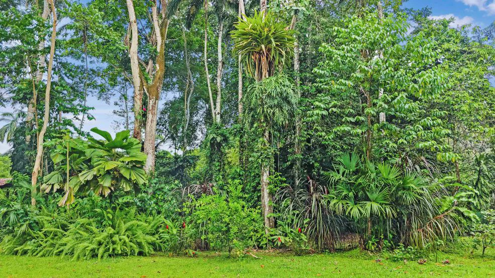 ID 765 - 3 Bd/2 Ba Home w/ Pool in Cahuita: Spacious, Well-Built Home on 5,128sqm Private Lot, 5 Minute Walk to Playa Grande, Cahuita - Gallery image 24