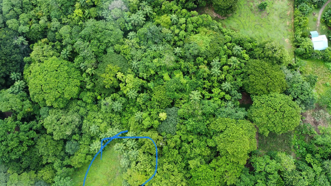 Beach Lot #2: 2,263 m2 Nicoya Blue Zone lot - Gallery image 4