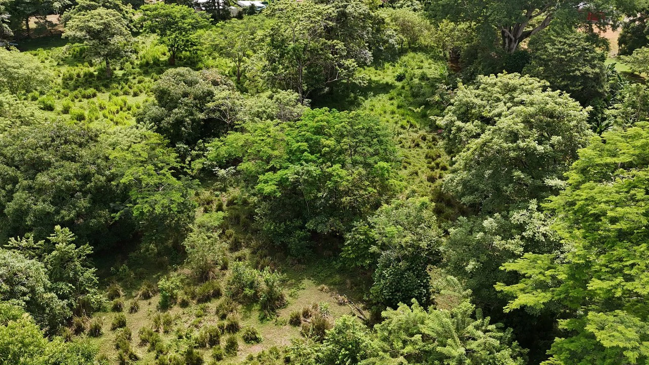 Walk to the beach, Developement Land, Mini Ranch, Central Uvita - Gallery image 14