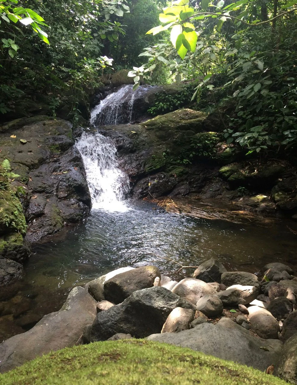 Casa OdiSea – Private Ocean View Estate with Waterfall Access in Portasol, Costa Rica: Mountain House For Sale in Portalon - Gallery image 86
