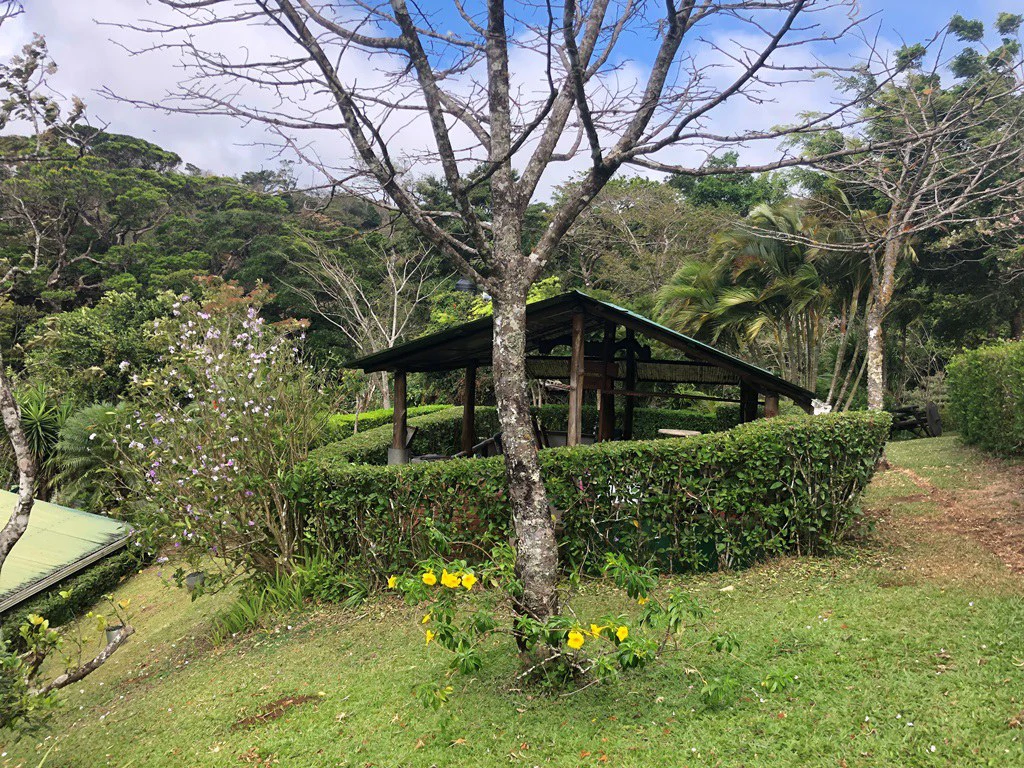 TURNKEY SOLUTION ECO MOUNTAIN LODGE FOR SALE - Gallery image 9