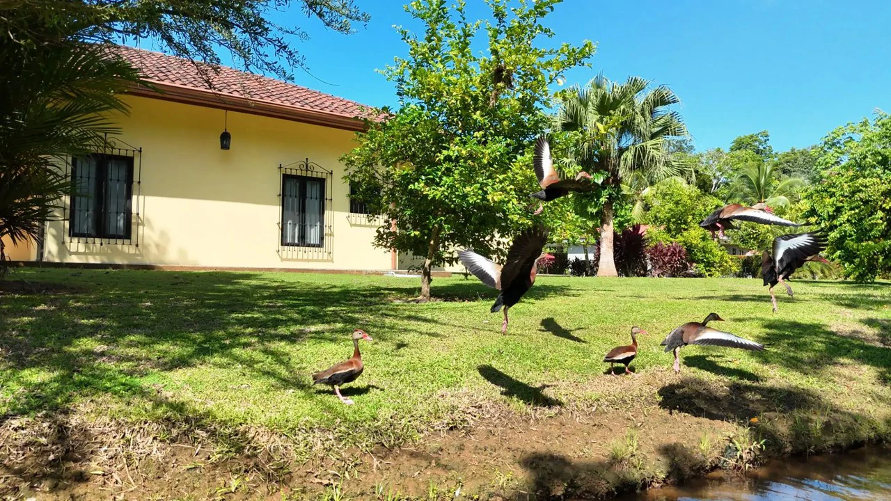 Tropical Luxury Estate with Private Lake, Pool & Prime Location Near Costa Rica’s Best Beaches: Near the Coast House For Sale in Parrita - Gallery image 16