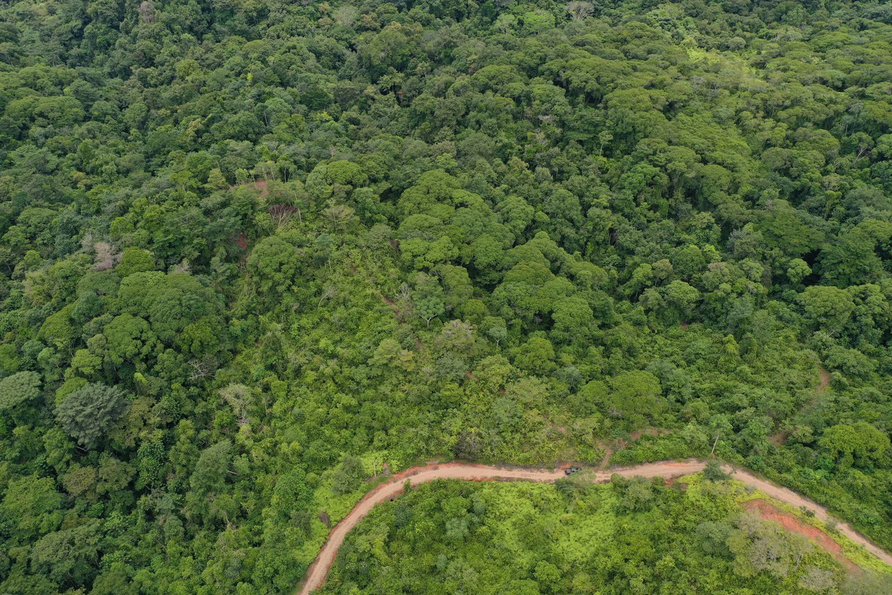 23.5 Acre Waterfall & Riverfront Estate Bahia Ballena Osa Peninsula - Gallery image 26