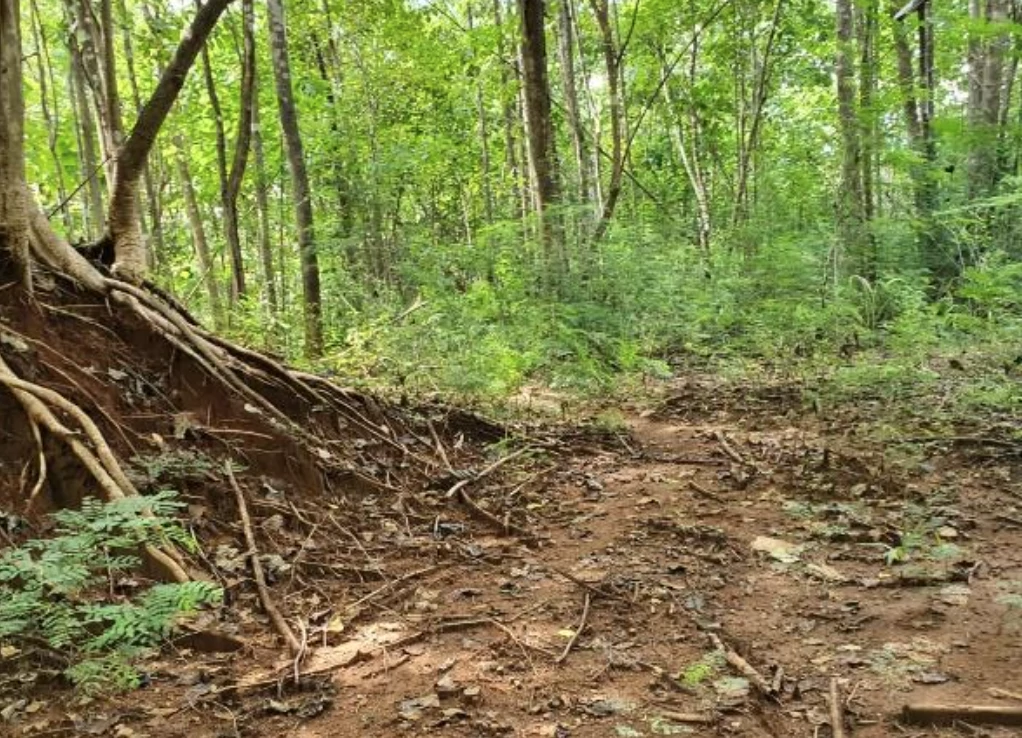 First Time Listed! Playa Avellanas Costa Rica Ocean View Development Land for Sale. Water and Land letter in Place. A Developer Dream! - Gallery image 11