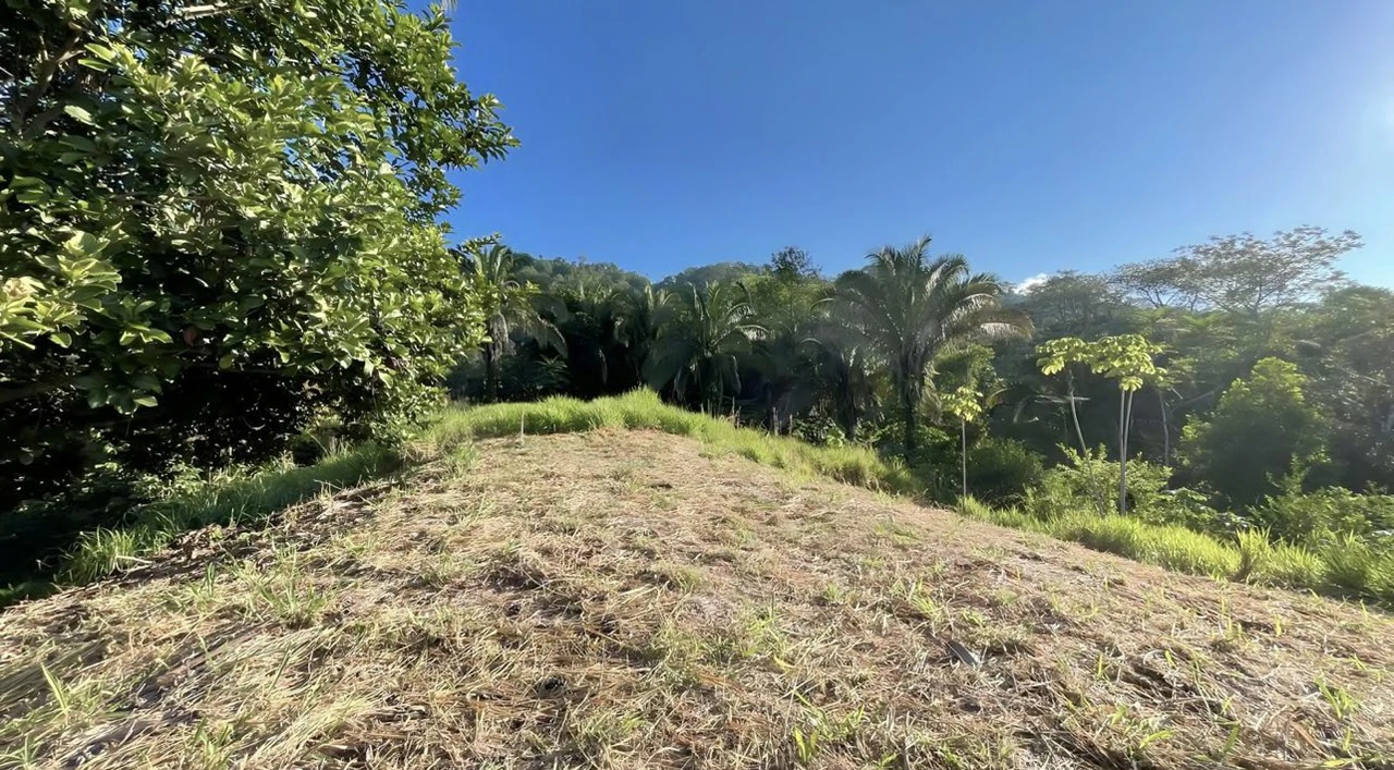 Exclusive Hermosa 1.2 Acre Lot with Panoramic Mountains and Ocean View. - Gallery image 18