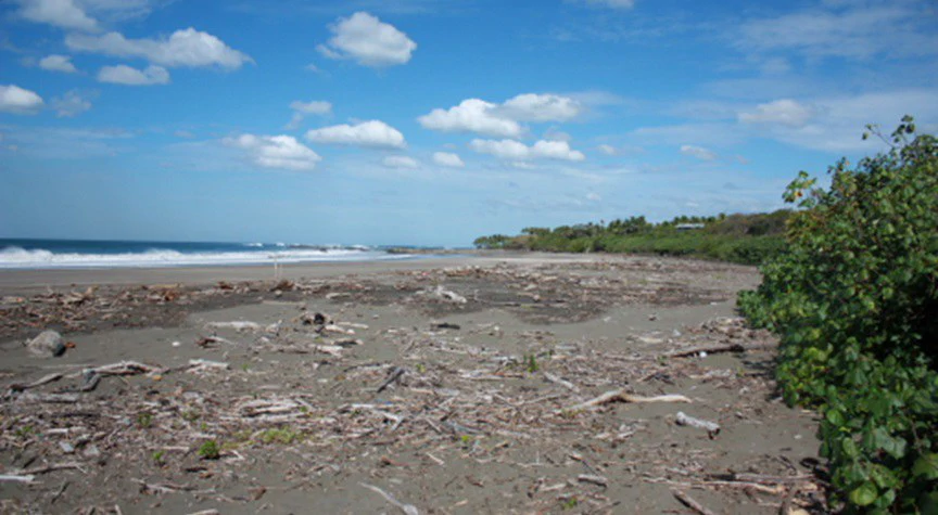Commercial Property in Junquillal Beach - Santa Cruz - Gallery image 5