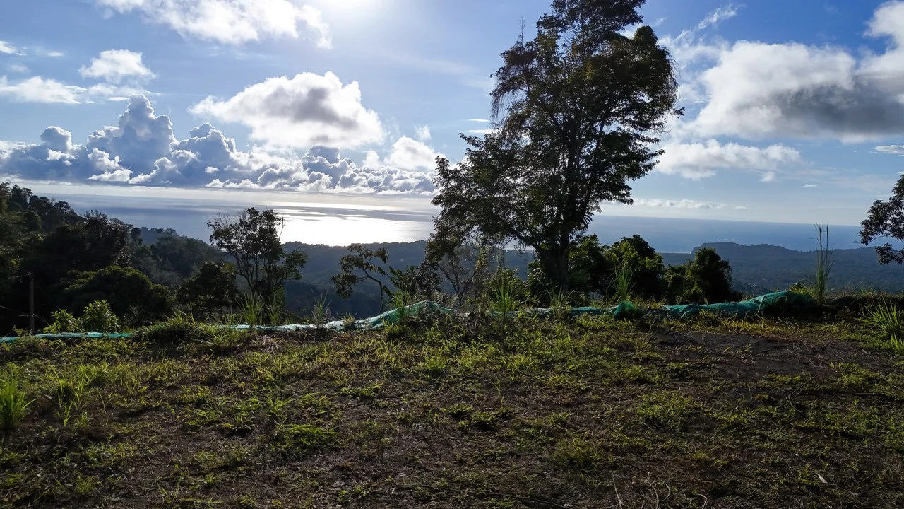 Year-Round Sunset Views | 3 Connected Build-Ready Lots - Gallery image 19