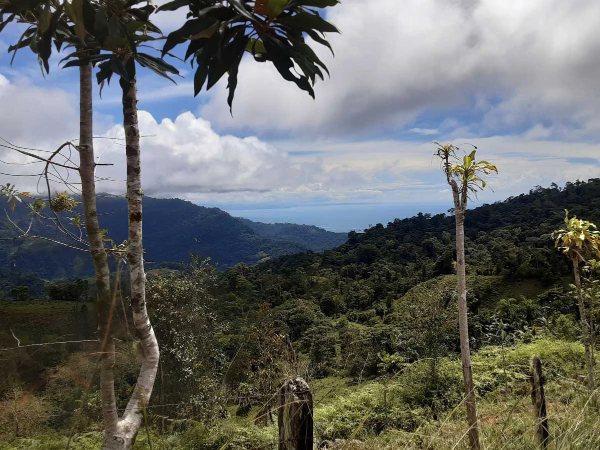 Finca Tesoro Escondido - The Jewel of Uvita - Gallery image 11
