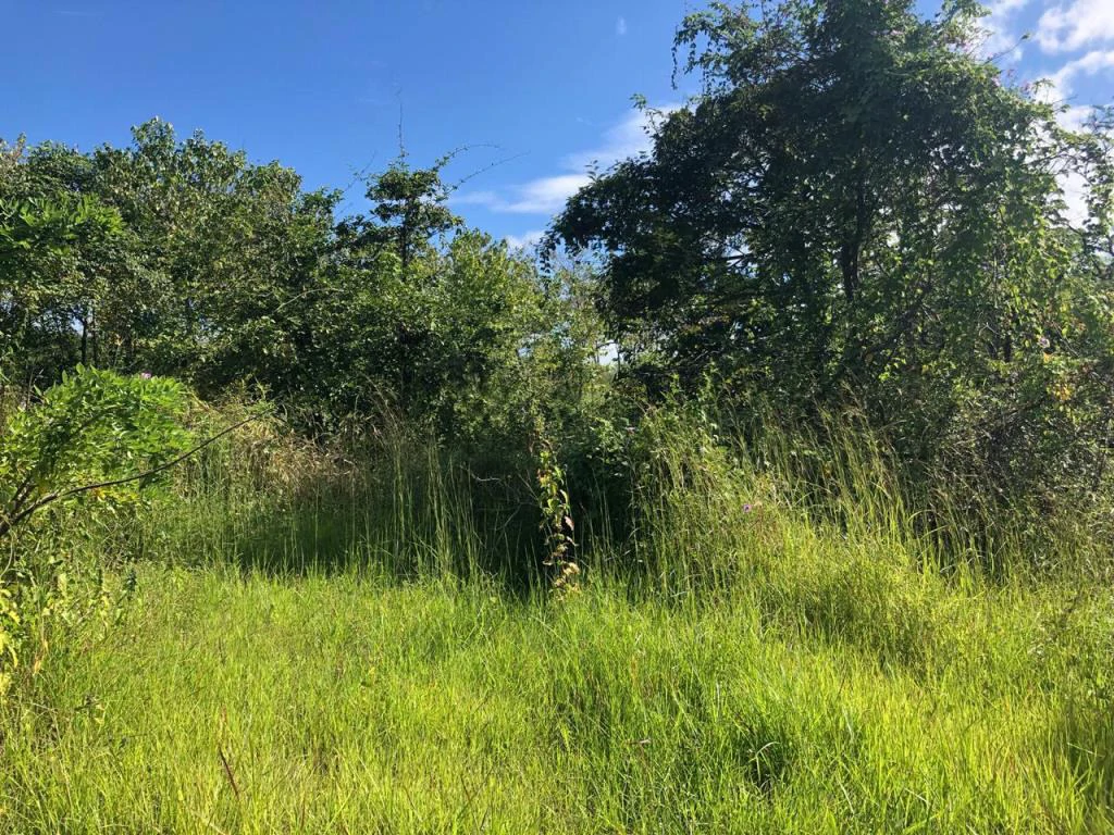 Ocean View Property with Panoramic Views on the Pacific Gold Coast – Guanacaste - Gallery image 18