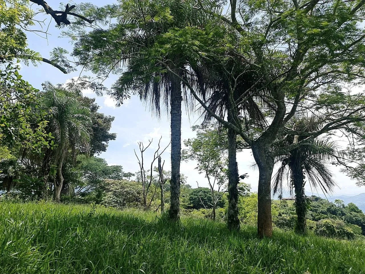 Near the Coast and Mountain Home Construction Site For Sale in Orotina y Caldera - Gallery image 12