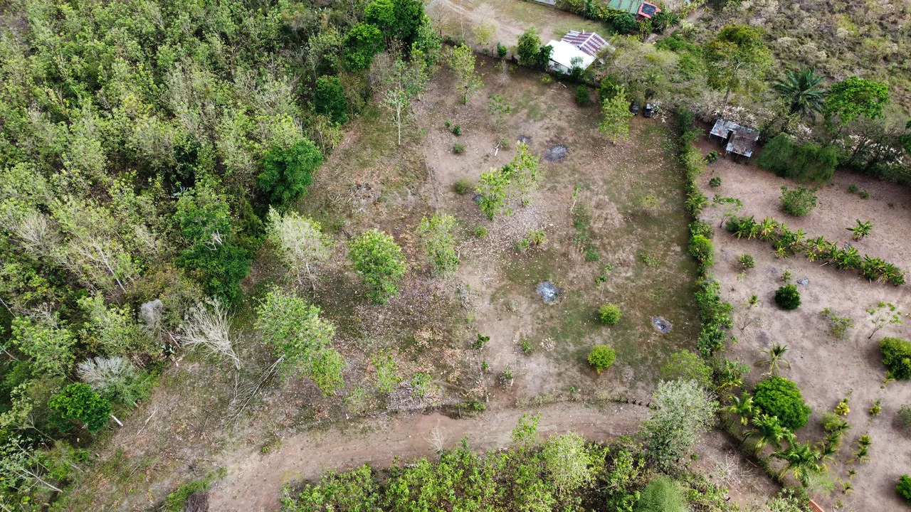 Off the grid property | Located in a privileged area, surrounded by natural beauty: Mountain Home Construction Site For Sale in Damas - Gallery image 4