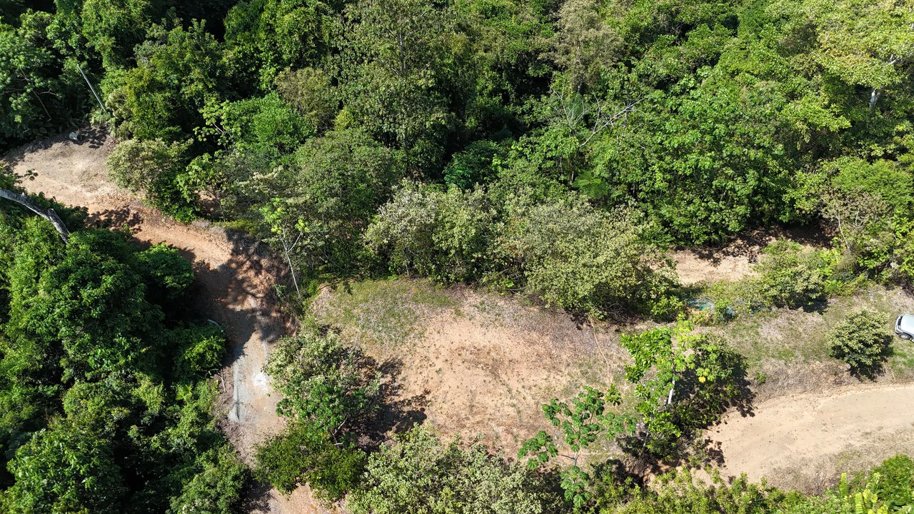 Exceptional Development Opportunity 71 acre Riverfront & Ocean View in Hatillo - Gallery image 15