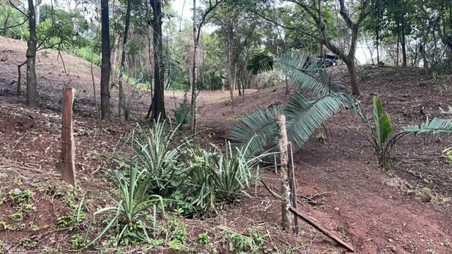 Beautiful Property for Sale in the Mountains of San Juanillo – Prime Land with Building Potential Just 10 Minutes from the Ocean - Gallery image 15