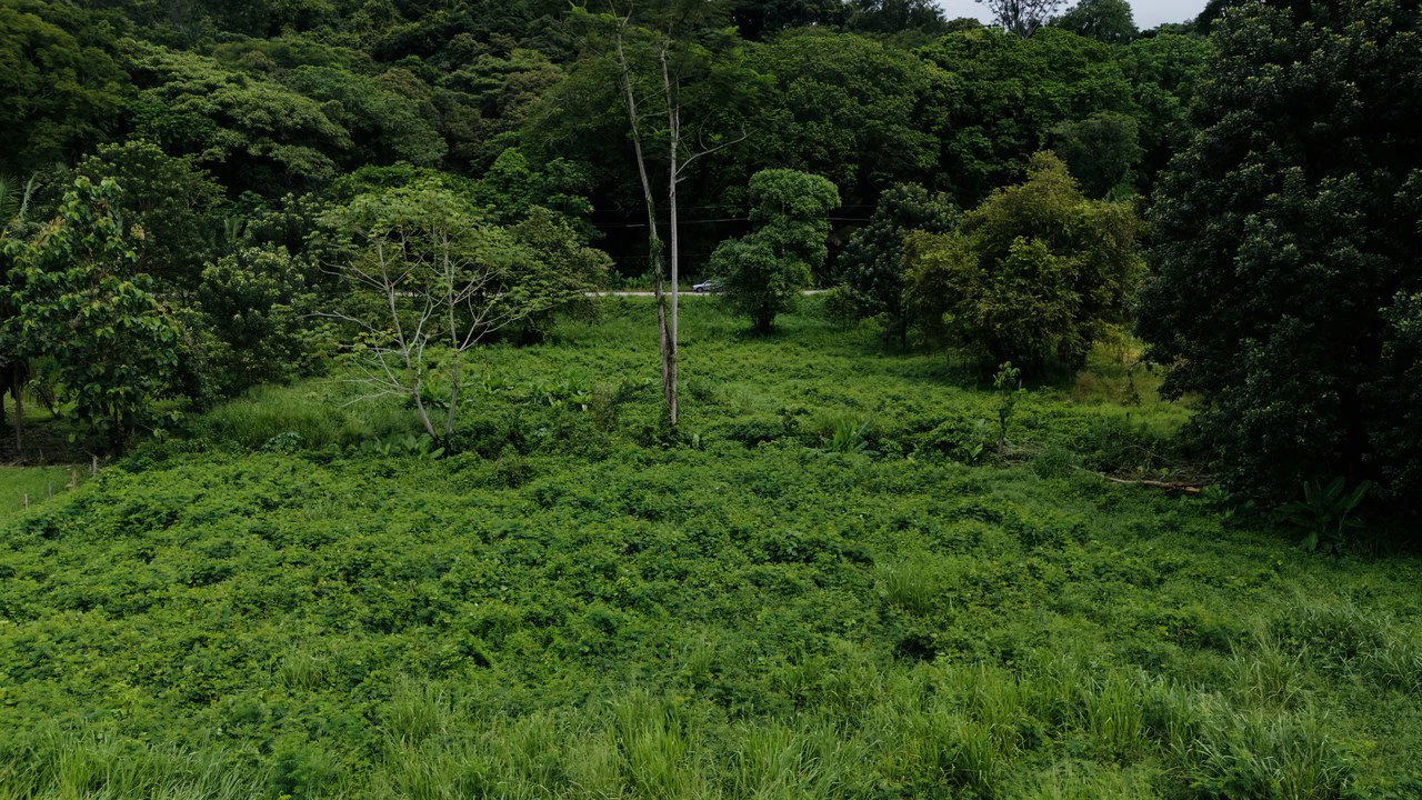 Strategic 5000sqm Commercial Property in Uvita: Perfect for any Business Vision - Gallery image 8