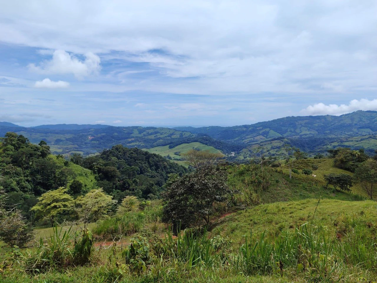 Se vende 39ha en Barú, Perez Zeledón: Mountain Home Construction Site For Sale in Barú - Gallery image 5