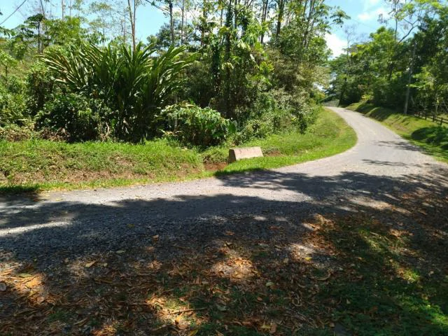 Cacao farm for sale, close to the Jungle Mountains of Bijagua,  with river frontage in a beautiful valley and soft rolling hills - Gallery image 2