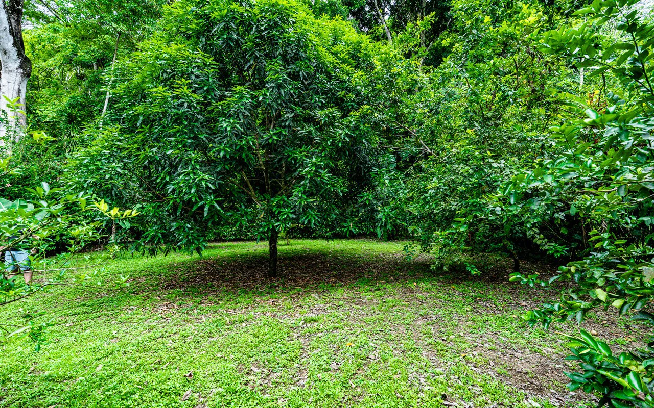 Riverfront Baru Estate Luxury Oasis Walkable to Playa Dominical - Gallery image 66
