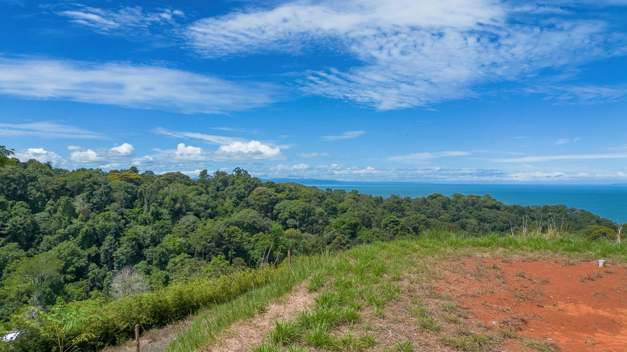 Luxury Ocean View Lot in Piñuelas - Premier Building Site - Gallery image 16