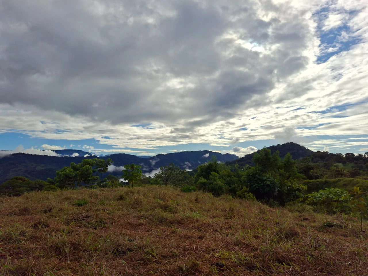 Off-Grid Ocean View Lot | 1.7 Acres in Las Nubes Matapalo Hills - Gallery image 19