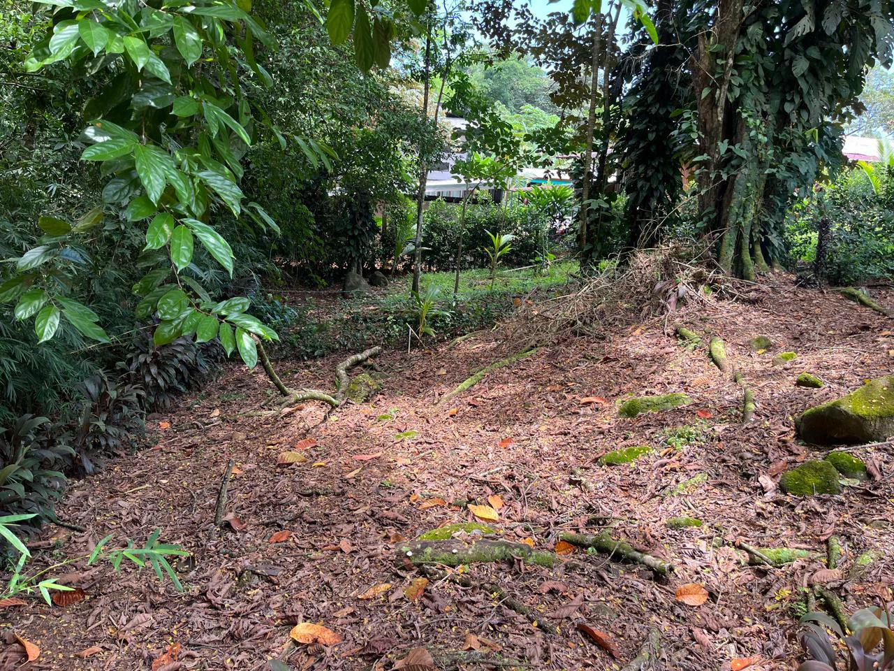Turnkey Jungle lot in Downtown Uvita - Gallery image 8
