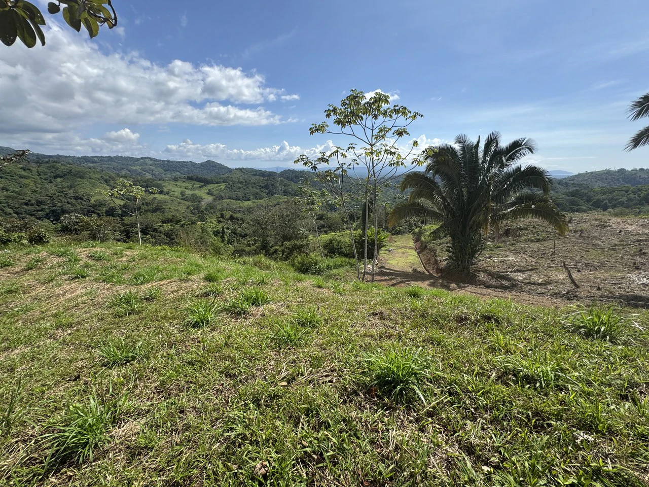 12 Acre Ocean View Farm in a Private Agricultural Community - Gallery image 7
