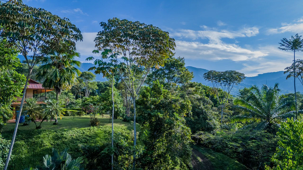 MOUNTAIN VIEW PARADISE WITH PRIVACY - 5 MINUTES AWAY FROM THE BEACH AND AMENITIES: Mountain House For Sale in Ojochal - Gallery image 8