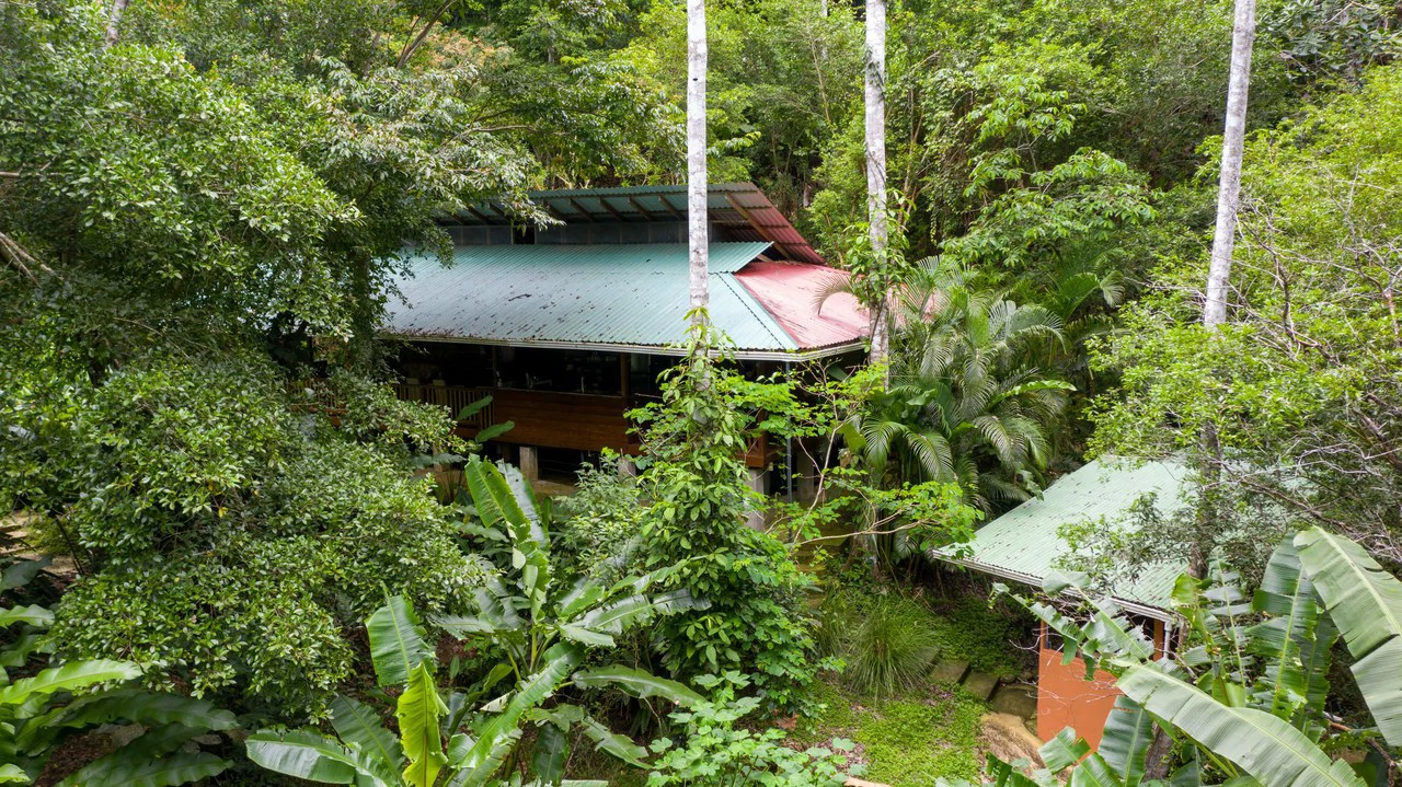 4 Bd/3 Ba - Two Caribbean Homes w/ Pool, on 5000m²: Dual Home Jungle Property in Punta Uva - Gallery image 25
