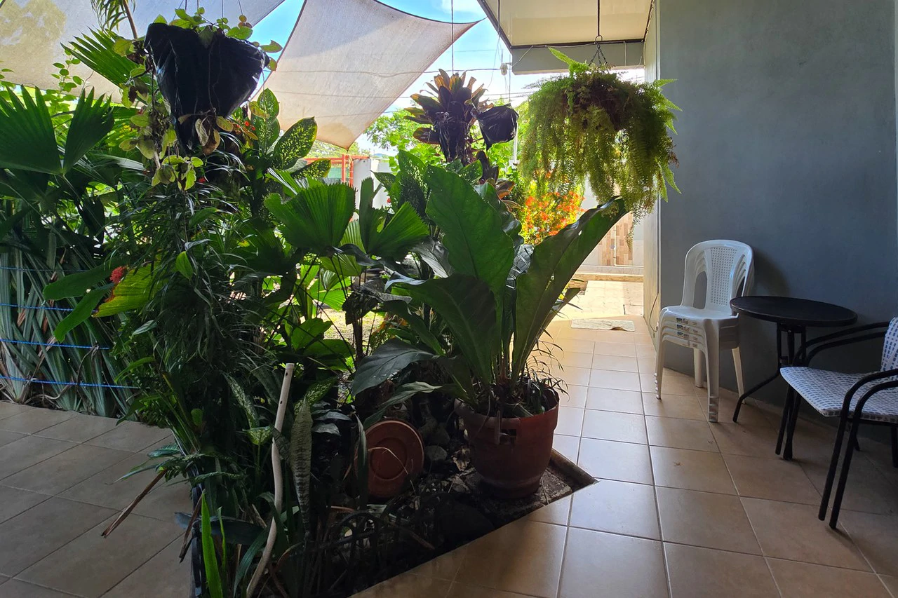 Near the Coast Multiplex For Sale in Bahía Ballena - photo 10