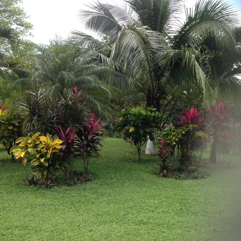 Countryside and Near the Coast House For Sale in Higuito - Gallery image 10
