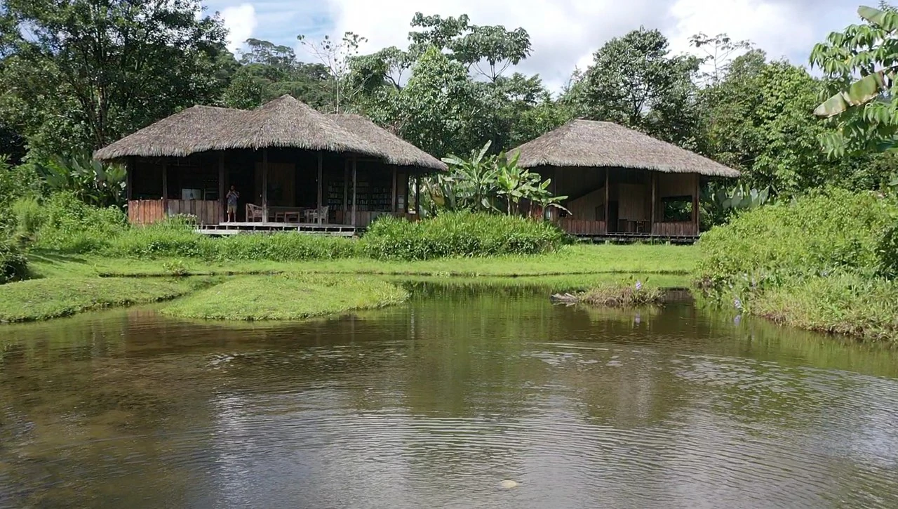 60 Acre Fully Sustainable and Impactful Conservation Initiative Near Golfito: Mountain Multi Unit Building For Sale in Golfito - Gallery image 21