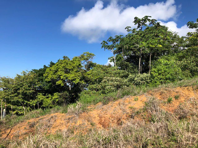 1.24 ACRES – Alto de San Juan, TOP OF THE WORLD VIEWS, Cool Breezes, Ready to Build Your Dream!!!!!: Mountain Development Parcel For Sale in Alto San Juan - Gallery image 15