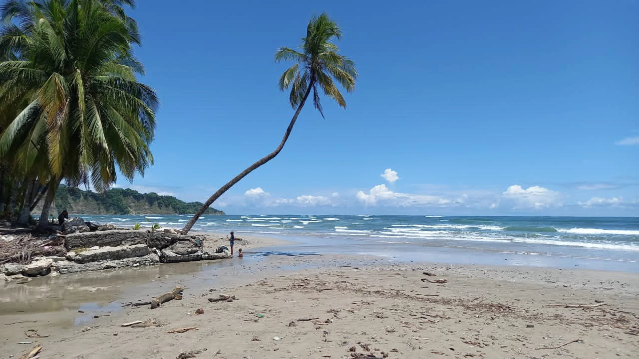 Property with Five Units in the heart of Guiones Beach - Nosara - Gallery image 52