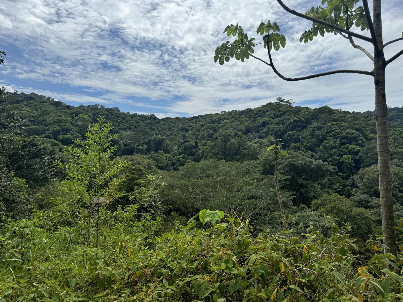 2.6 ACRES – 3 Bedroom Home With Beautiful Views, Several More Building Sites, Perfect For Small Farm!!! - Gallery image 30