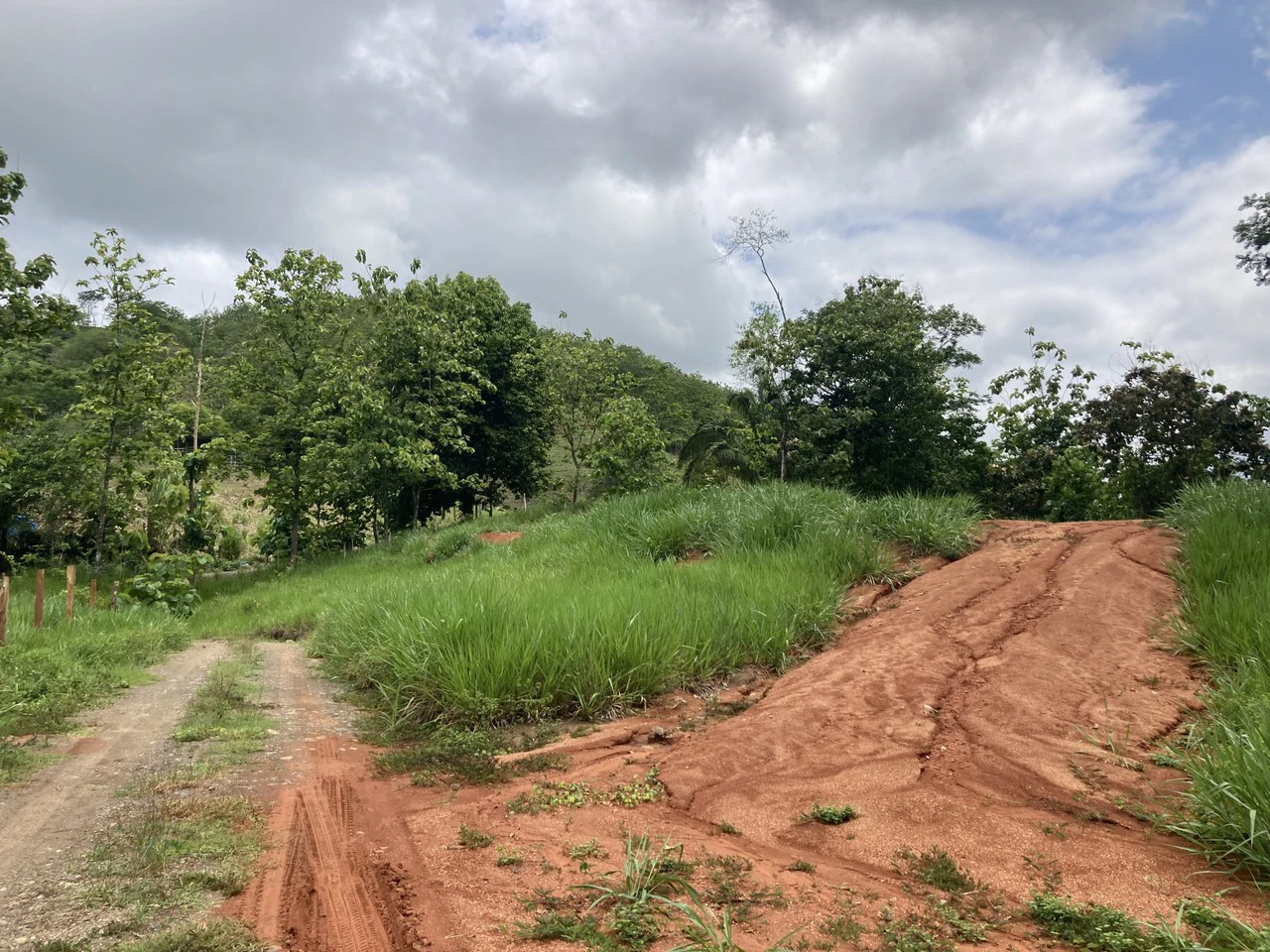Frog Desing House: Property for Sale in Parrita, Costa Rica - Gallery image 26