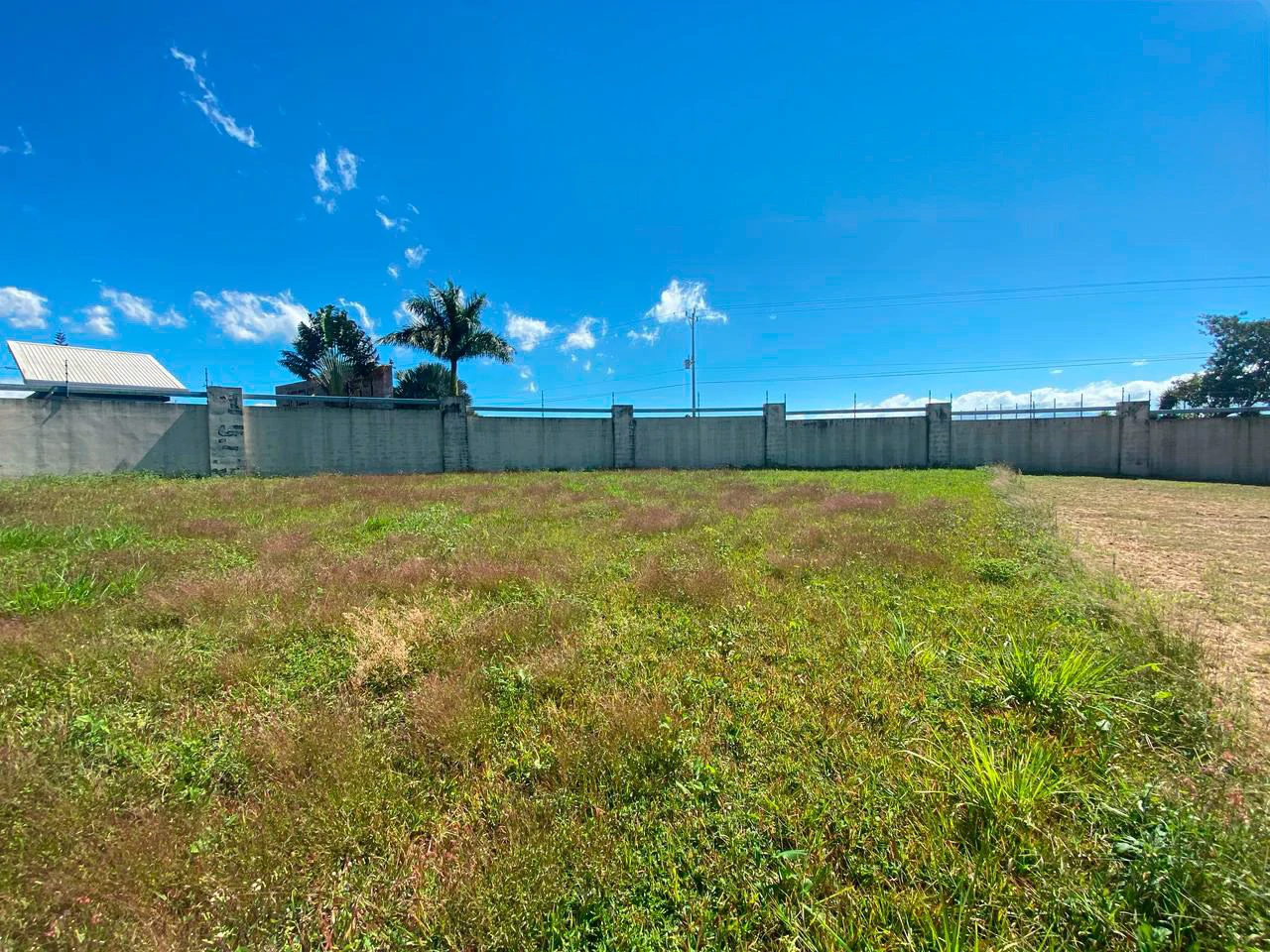 LARGE LOT FOR SALE, ALAJUELA, GREECE - Gallery image 7