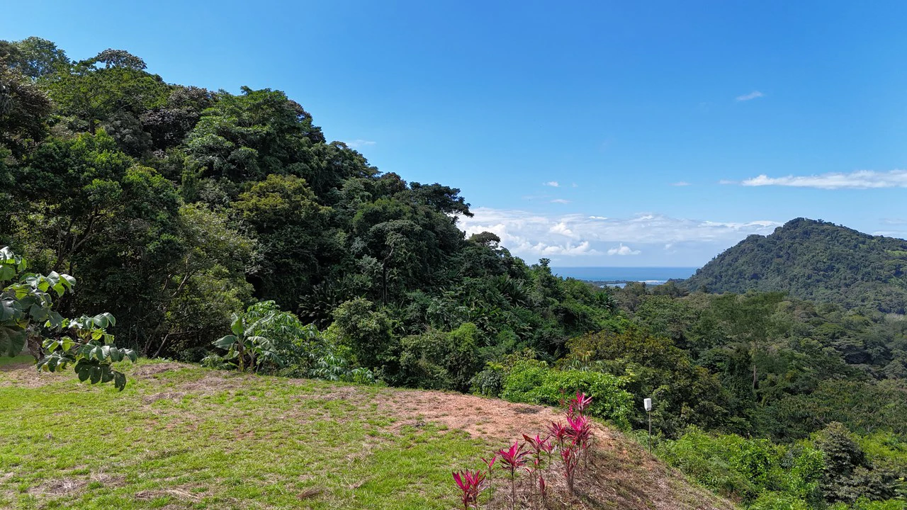 Stunning Ocean, Mountain, and Valley View Property in Tres Rios - Gallery image 7