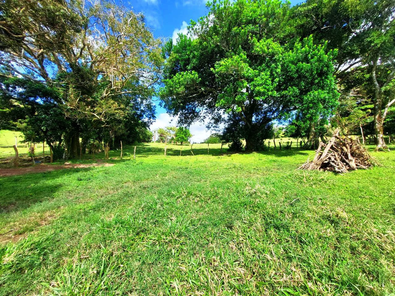 LA CABAÑA - COUNTRY ESTATE WITH HUGE POTENTIAL - Gallery image 15