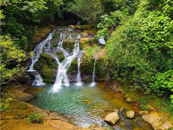 INCREDIBLE ECOLOGICAL PROPERTY WITH 4 SPECTACULAR WATERFALLS - Gallery image 23